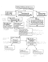 obi ifa.PDF